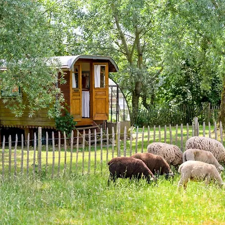 La Roulotte De La Ferme De Froidefontaine Campsite Havelange