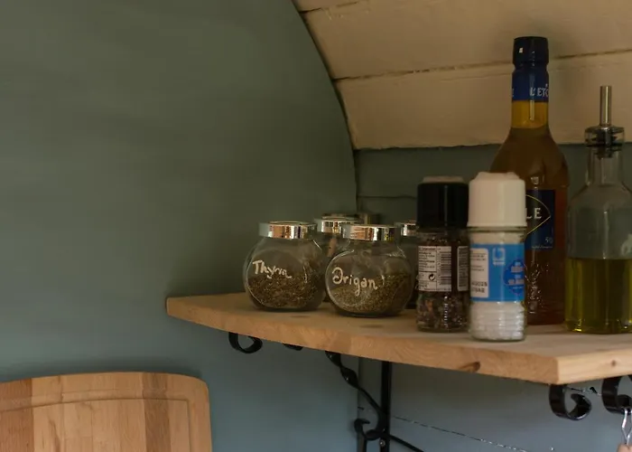 Les Insolites De La Ferme De Froidefontaine Camping *