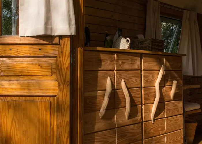 Les Insolites De La Ferme De Froidefontaine Camping Havelange