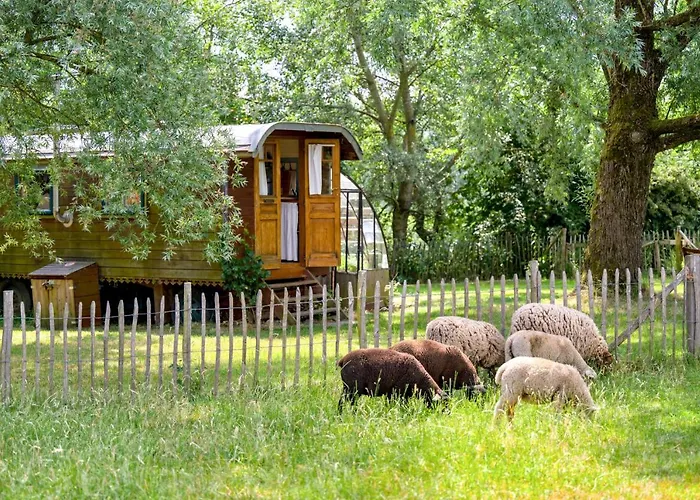 Les Insolites De La Ferme De Froidefontaine Camping Havelange