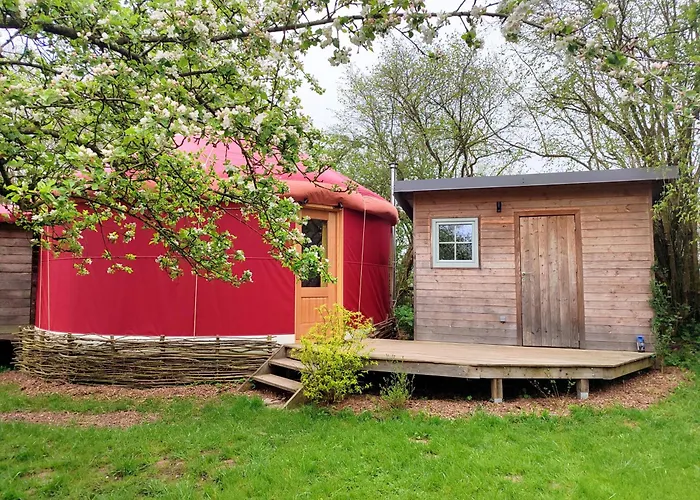 Les Insolites De La Ferme De Froidefontaine Camping Havelange