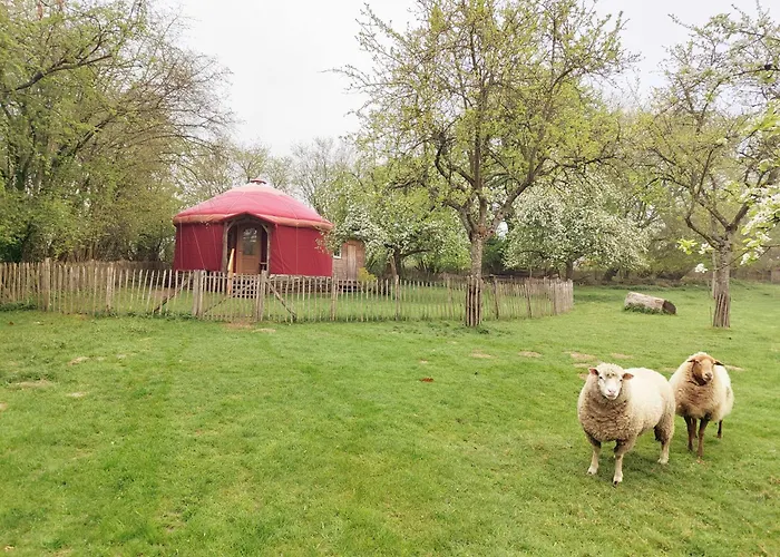 Les Insolites De La Ferme De Froidefontaine Camping *